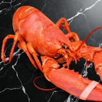 Best 1pc Whole Lobster in Las Vegas, NV